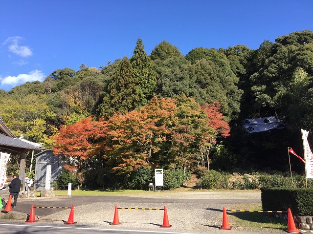f:id:go_kuma:20181123221430j:plain