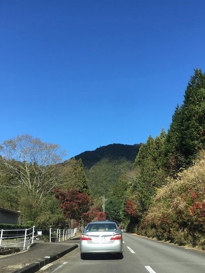 f:id:go_kuma:20181126222516j:plain