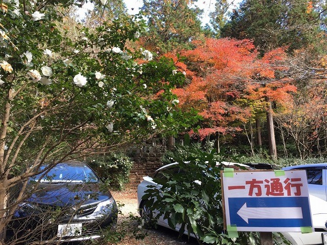 f:id:go_kuma:20181126223825j:plain
