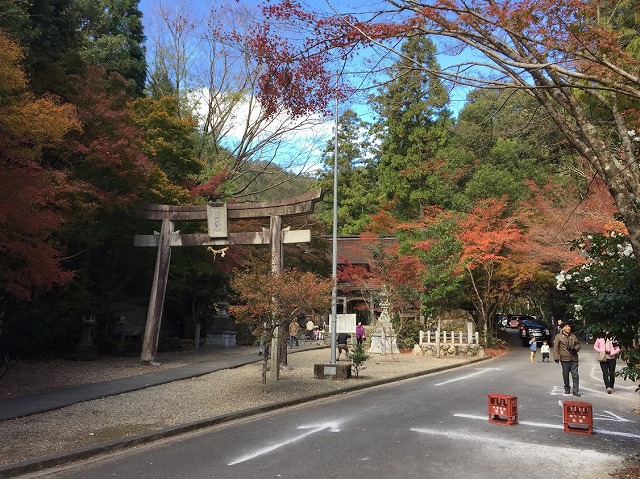 f:id:go_kuma:20181126224006j:plain