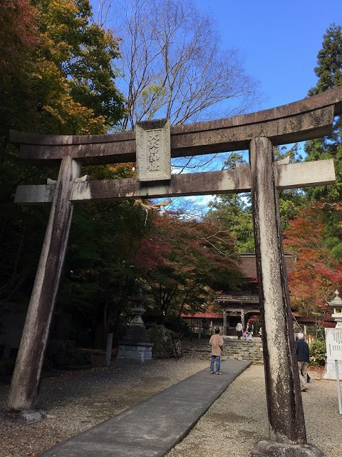 f:id:go_kuma:20181126224205j:plain