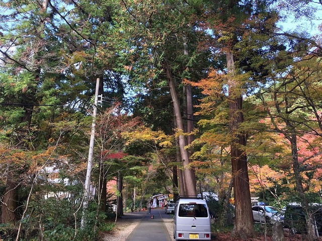 f:id:go_kuma:20181127215515j:plain f:id:go_kuma:20181127215515j:plain