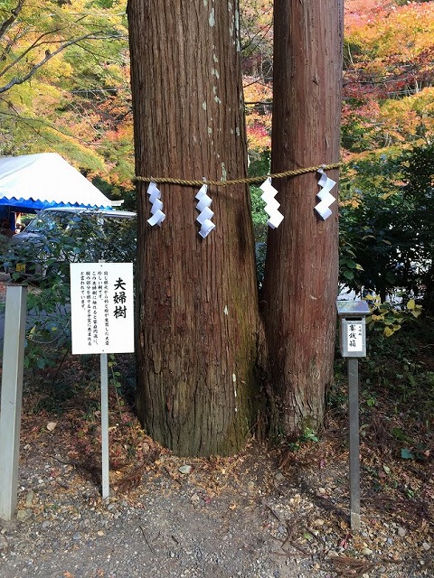 f:id:go_kuma:20181127215612j:plain f:id:go_kuma:20181127215612j:plain
