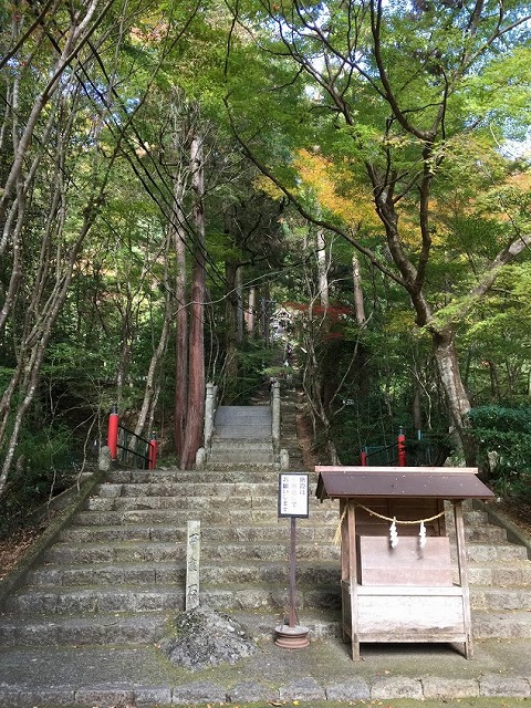 f:id:go_kuma:20181127220846j:plain f:id:go_kuma:20181127220846j:plain
