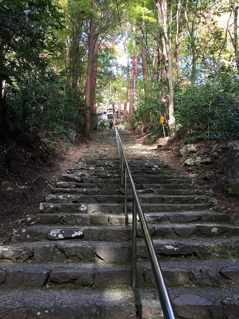 f:id:go_kuma:20181127221431j:plain f:id:go_kuma:20181127221431j:plain