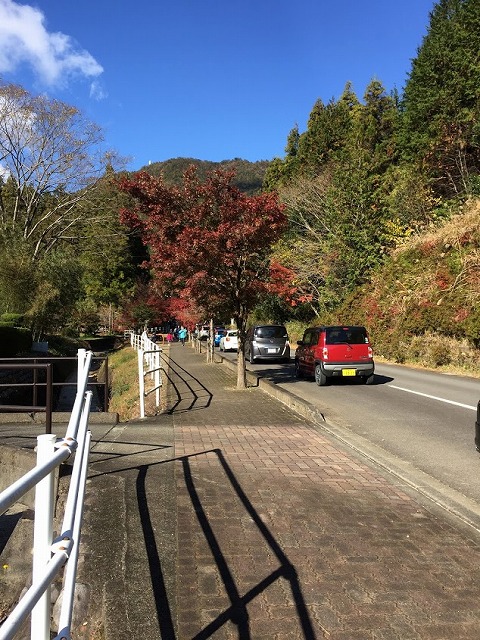 f:id:go_kuma:20181128210031j:plain