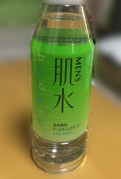 f:id:go_kuma:20181230212105j:plain