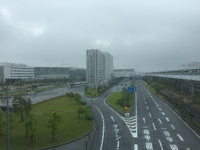 f:id:go_kuma:20190610205333j:plain