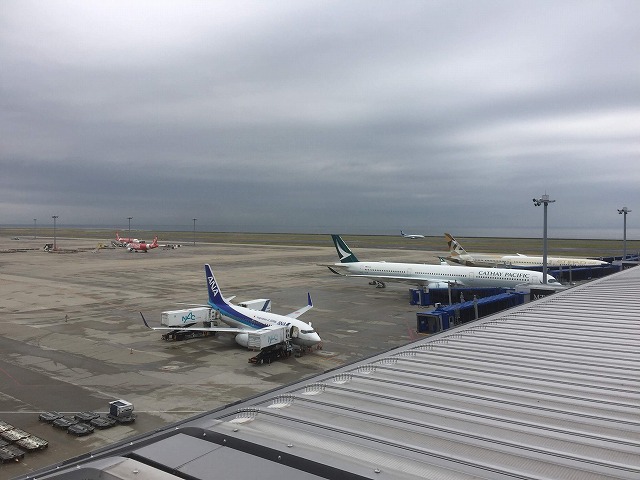 f:id:go_kuma:20190610220521j:plain