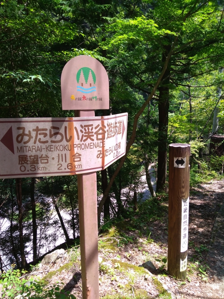 f:id:go_out81:20180719232214j:plain