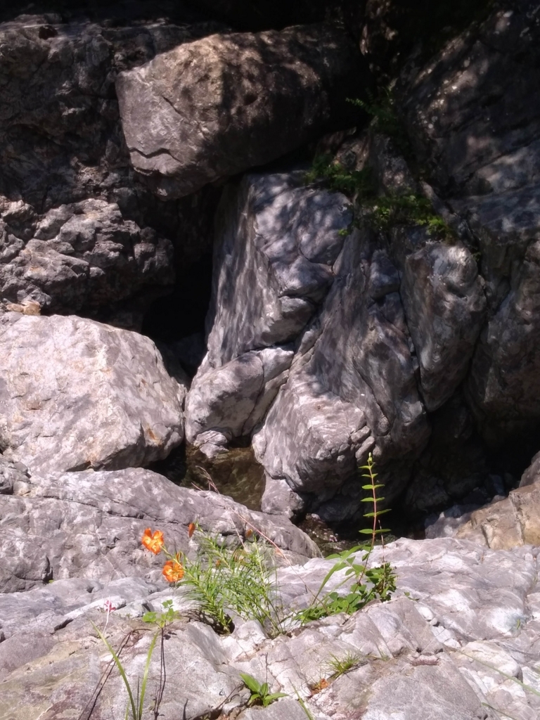 f:id:go_out81:20180719232702j:plain