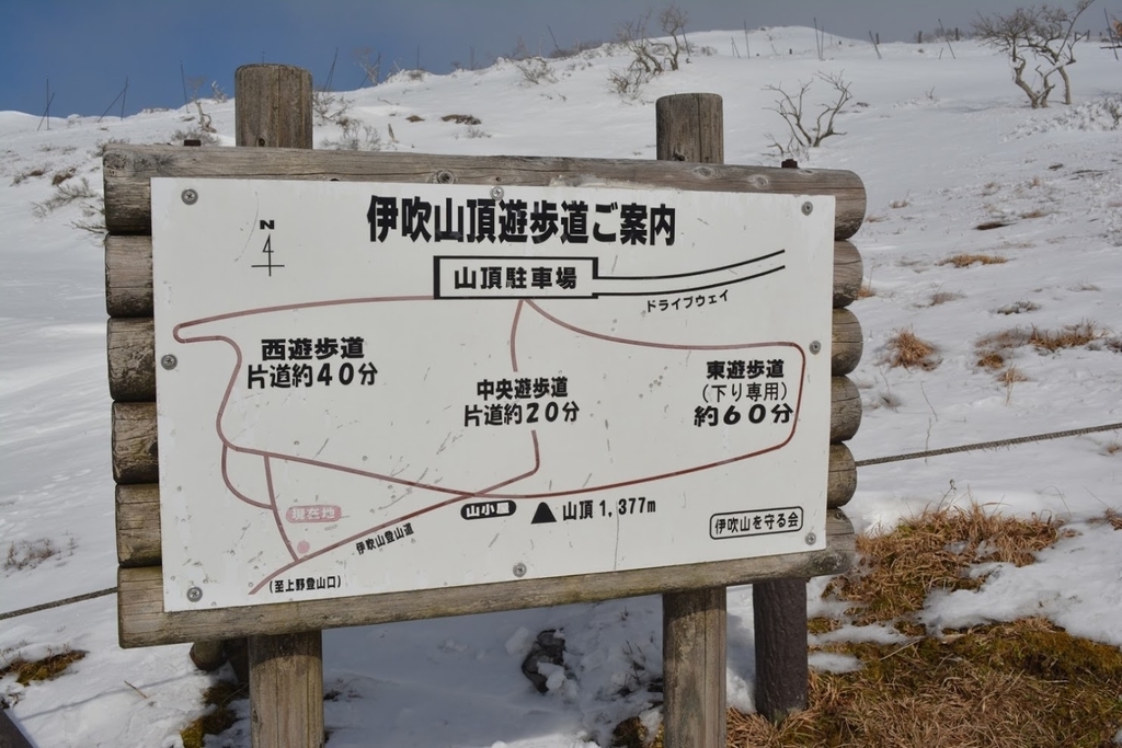 f:id:go_out81:20190120193512j:plain