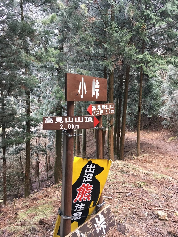 f:id:go_out81:20190303171945j:plain