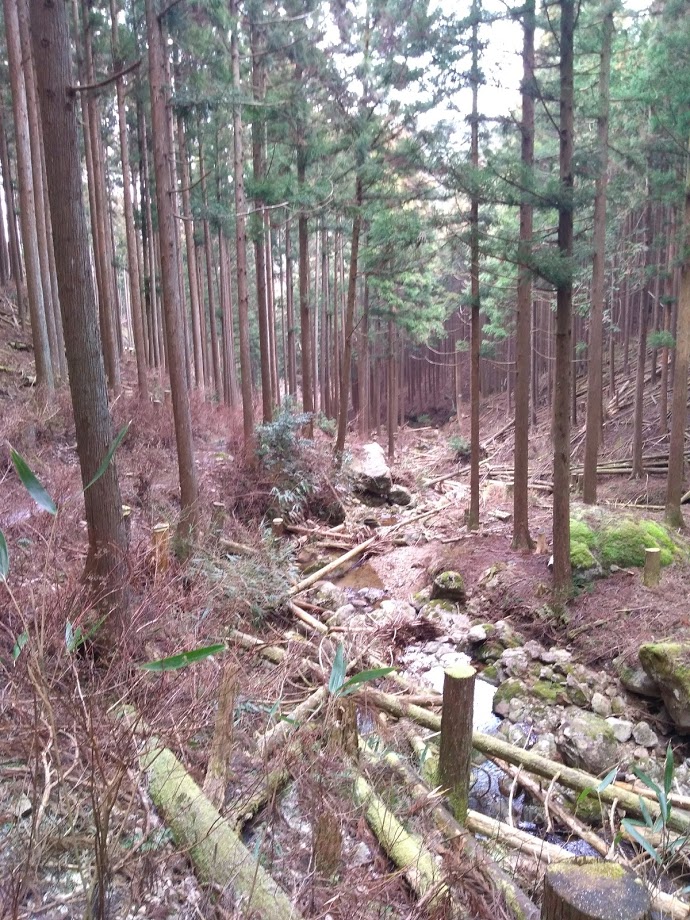 f:id:go_out81:20190303172908j:plain