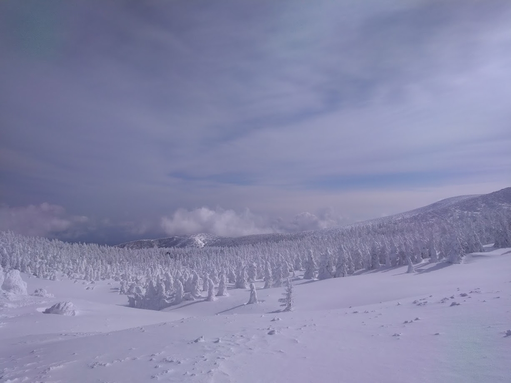 f:id:go_out81:20190303183821j:plain