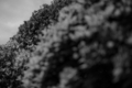 20120514104507