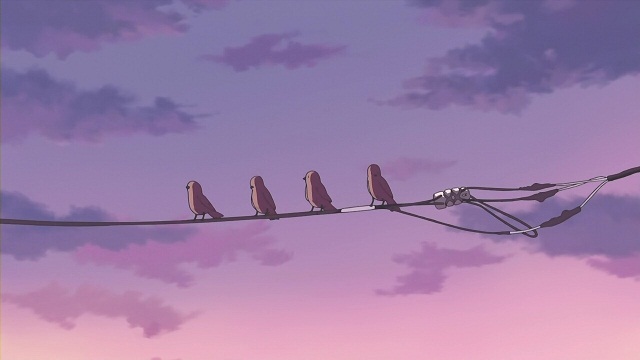 イメージ 8