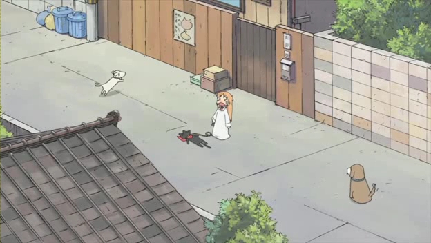イメージ 6
