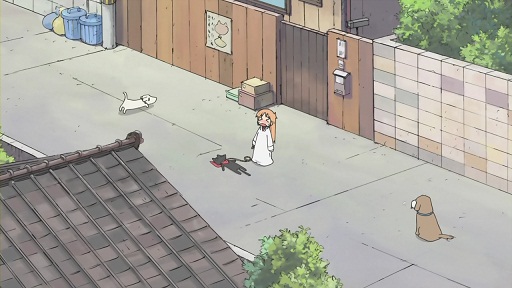 イメージ 5