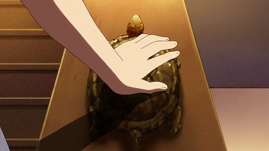 イメージ 5