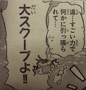 イメージ 6