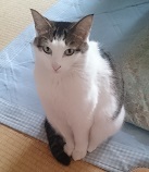 イメージ 5
