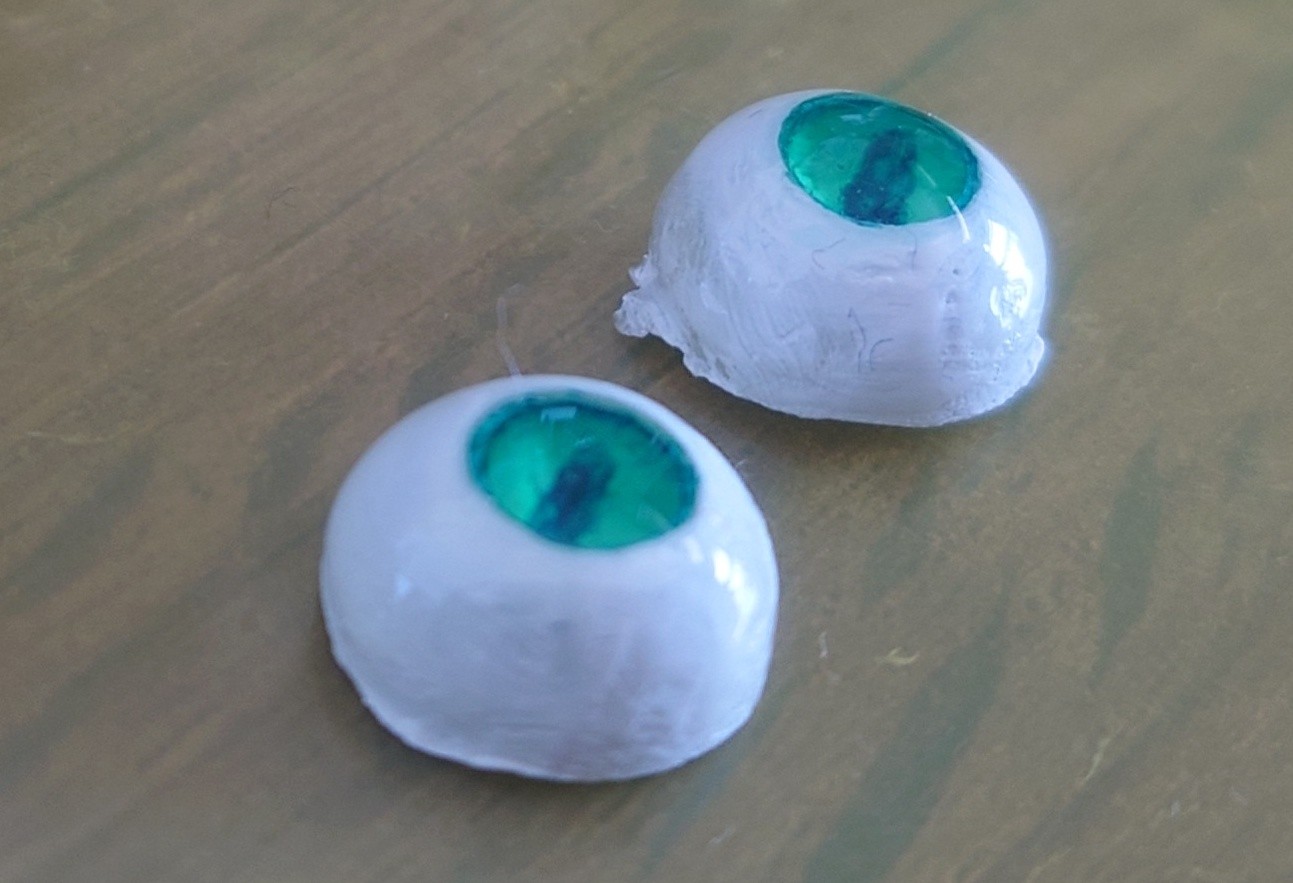 f:id:goagoa_fish:20260202103606j:image f:id:goagoa_fish:20260202103606j:image