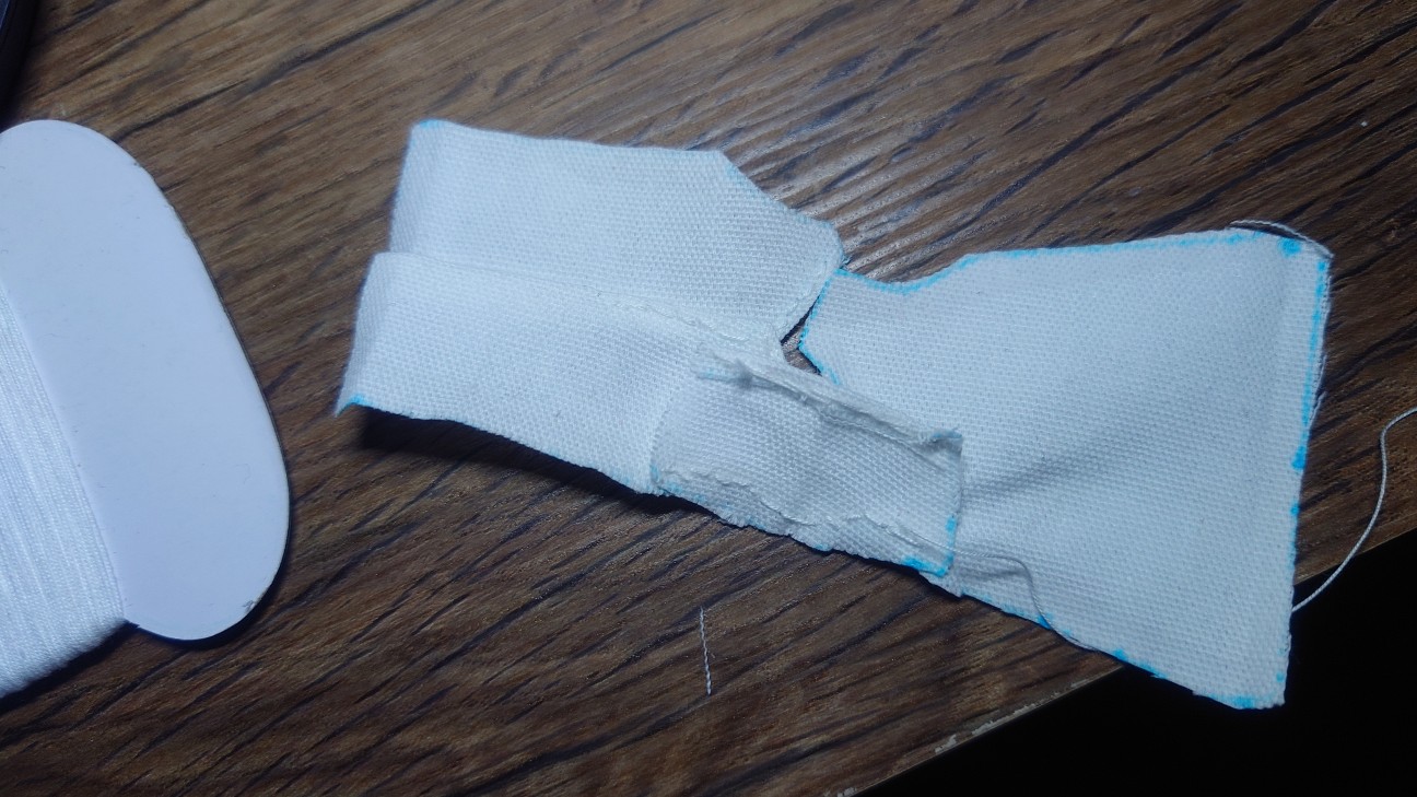 f:id:goagoa_fish:20260217100703j:image