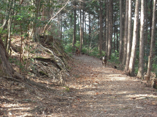 f:id:goblinking:20121224124003j:image