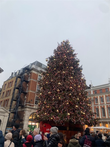 f:id:gobotenman:20250128121218j:image f:id:gobotenman:20250128121218j:image