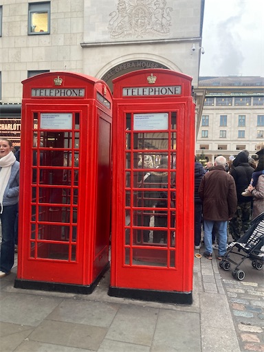 f:id:gobotenman:20250128121224j:image f:id:gobotenman:20250128121224j:image