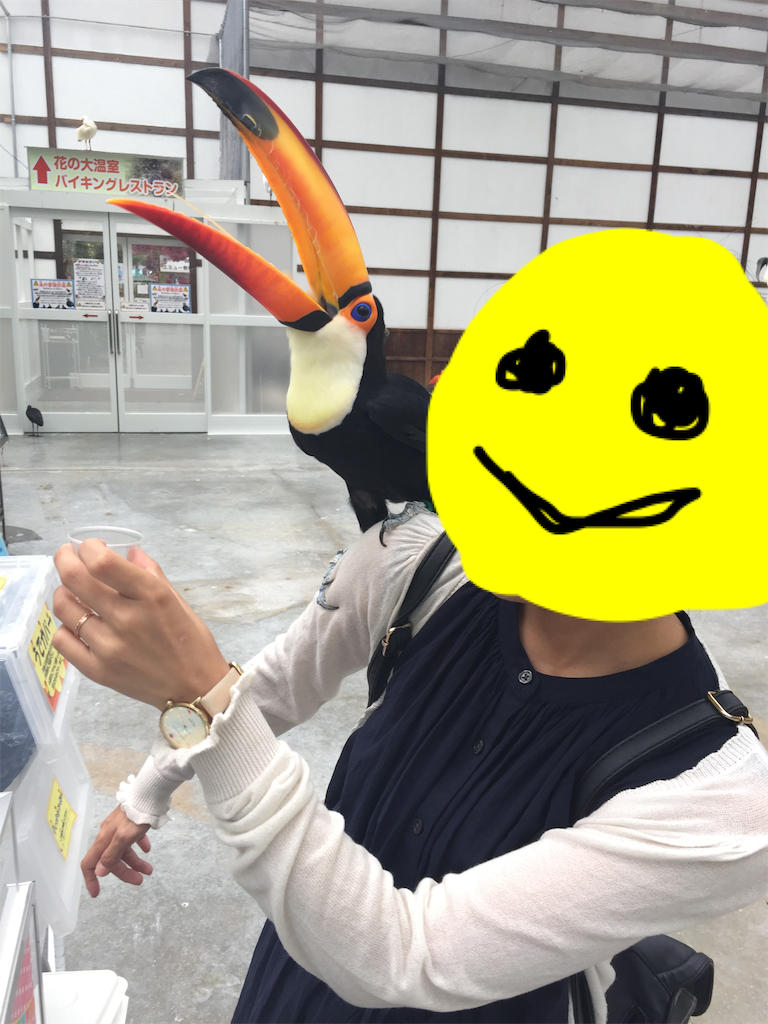f:id:gobrintan:20190627202759p:image