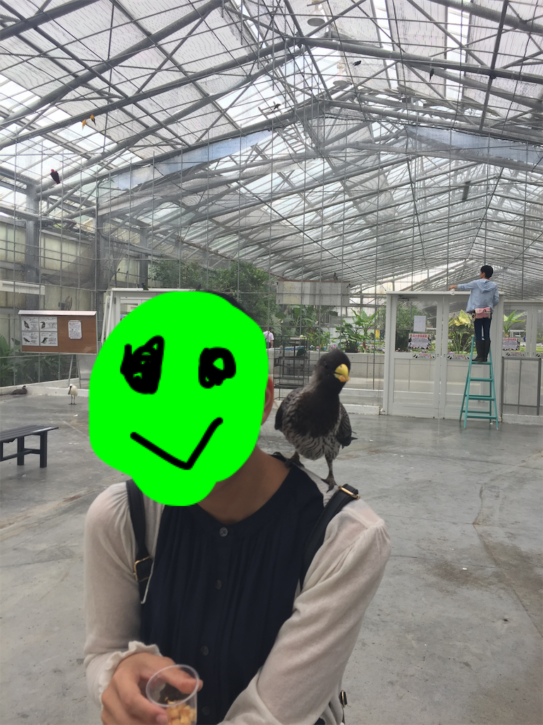f:id:gobrintan:20190627202816p:image