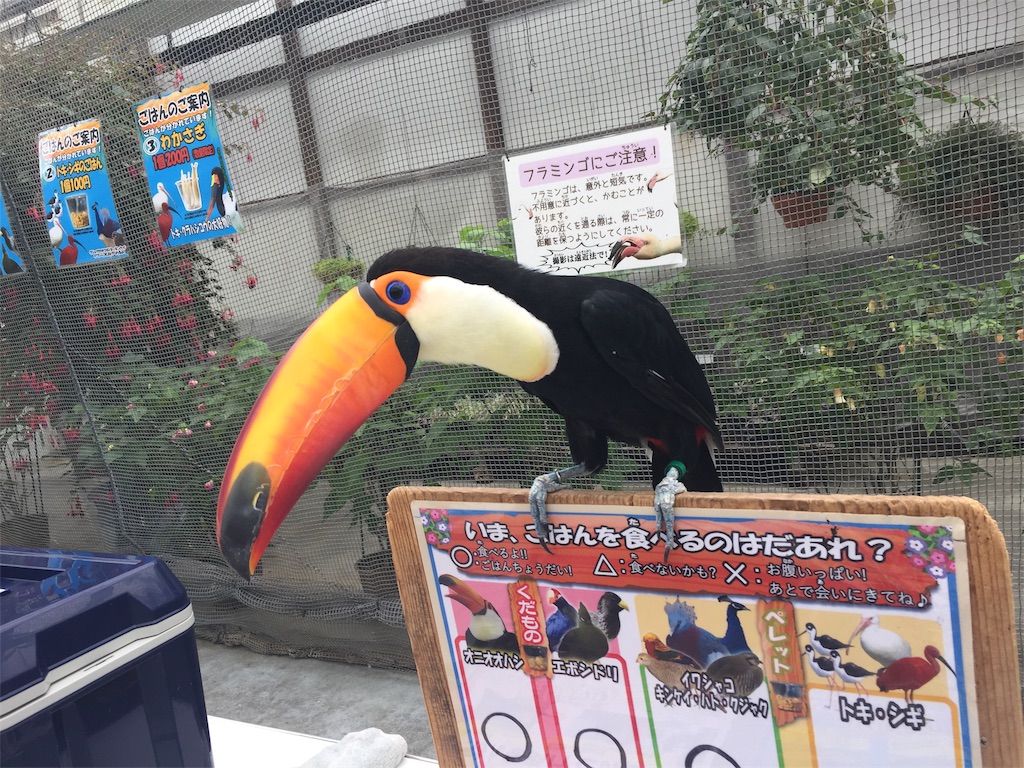 f:id:gobrintan:20190627204943j:image