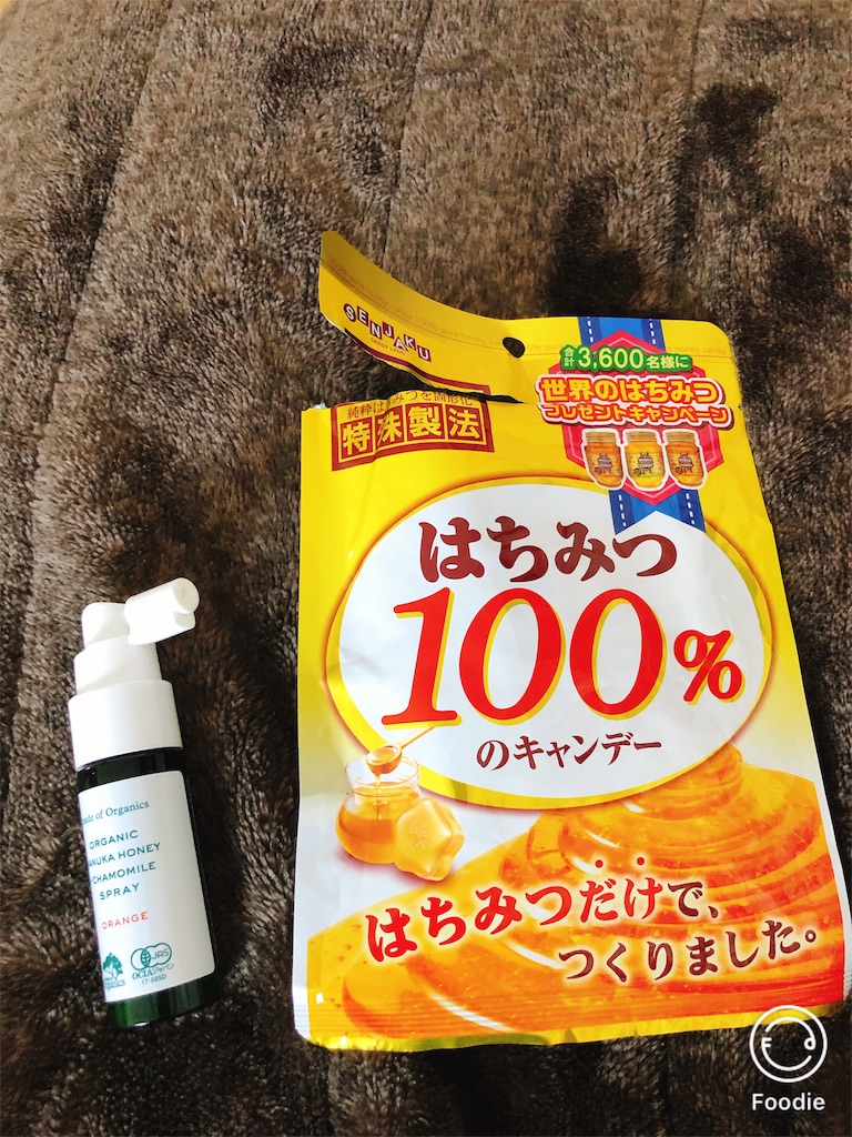 f:id:gobrintan:20191117140816j:image f:id:gobrintan:20191117140816j:image