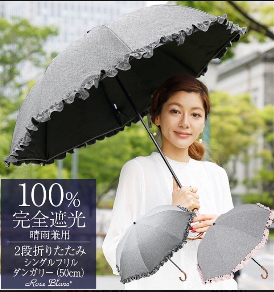 f:id:gobrintan:20201219190639j:image