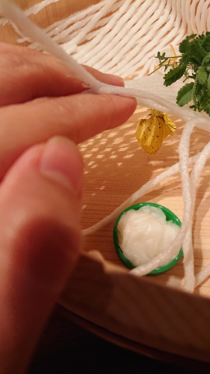 f:id:gobuichikun:20201010231107j:plain f:id:gobuichikun:20201010231107j:plain