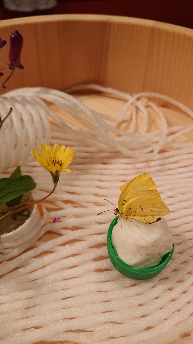 f:id:gobuichikun:20201020004734j:plain