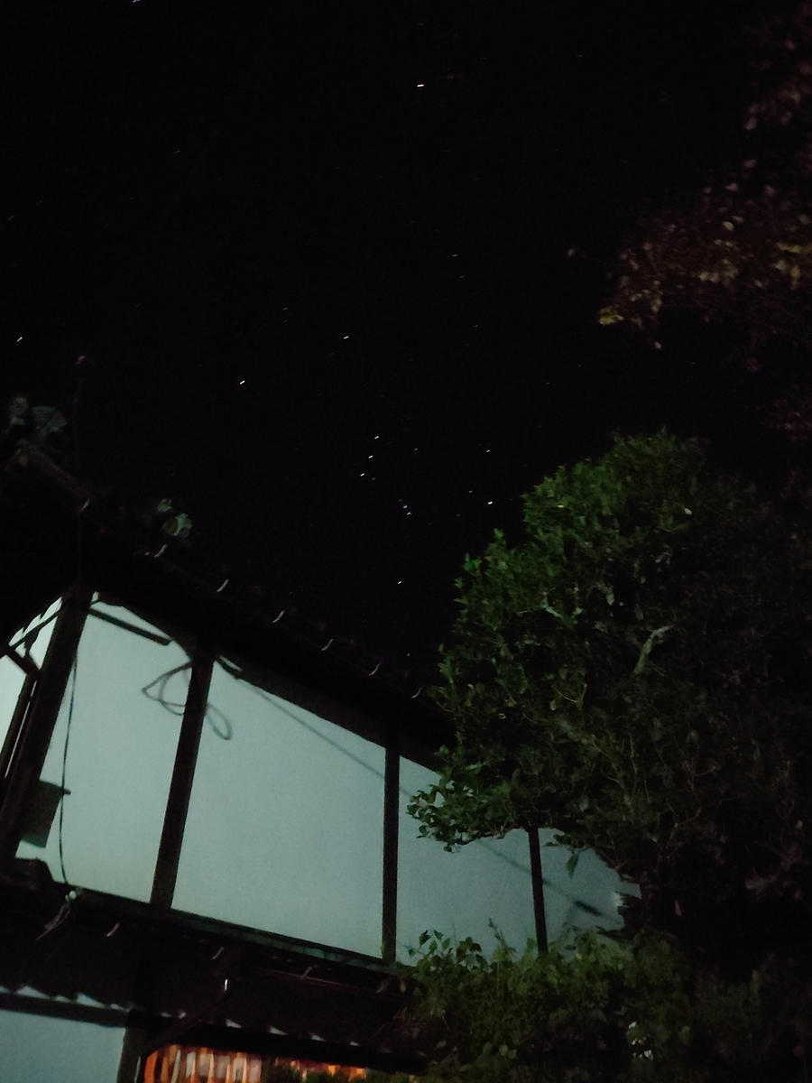 f:id:gobuichikun:20201117105542j:plain