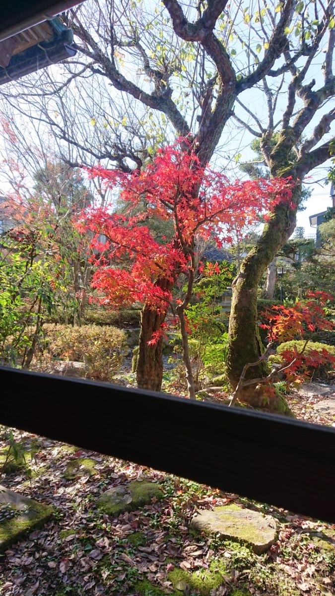f:id:gobuichikun:20201205113821j:plain