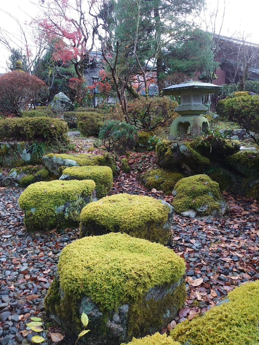 f:id:gobuichikun:20201206002608j:plain