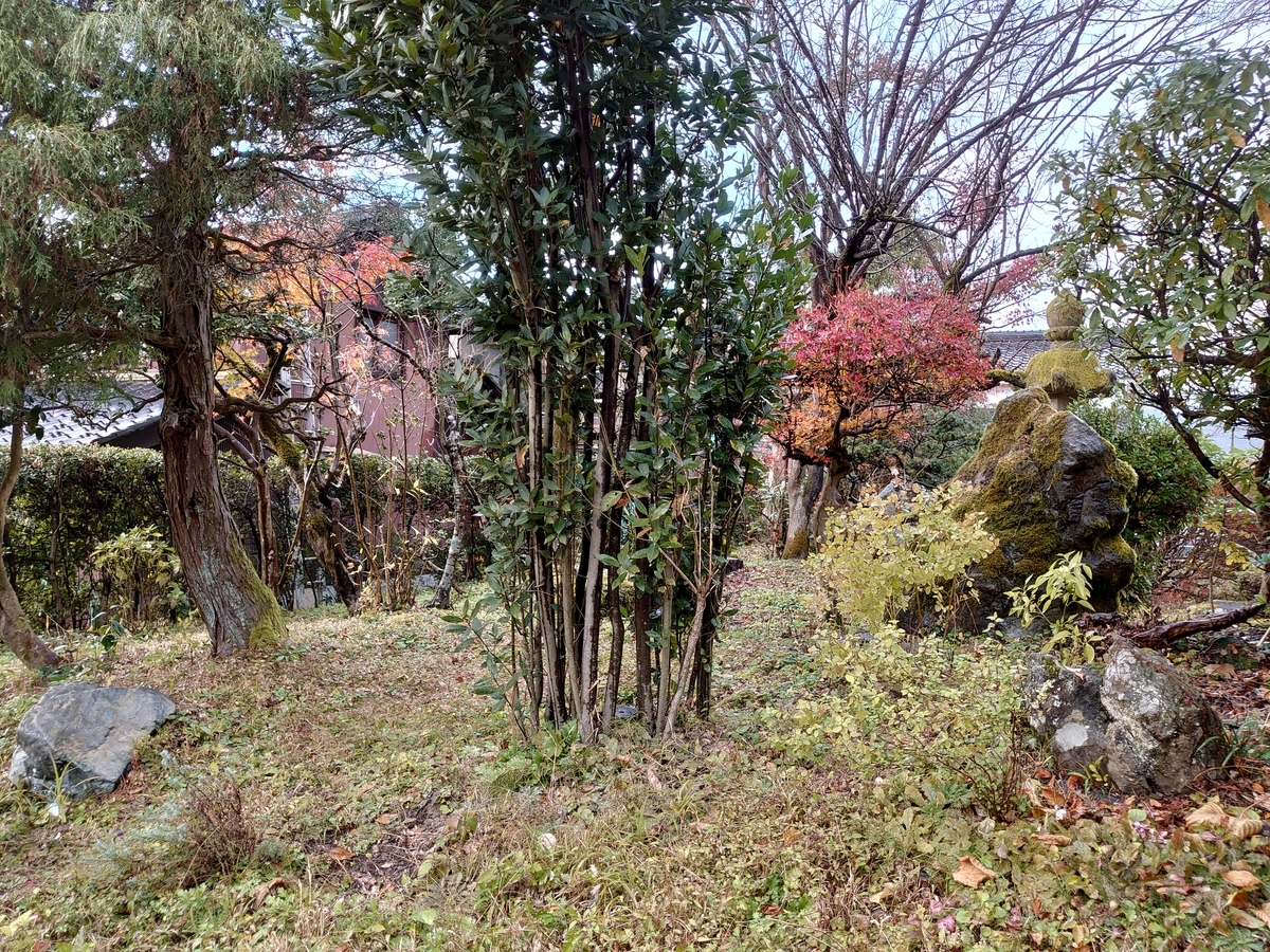 f:id:gobuichikun:20201207002313j:plain