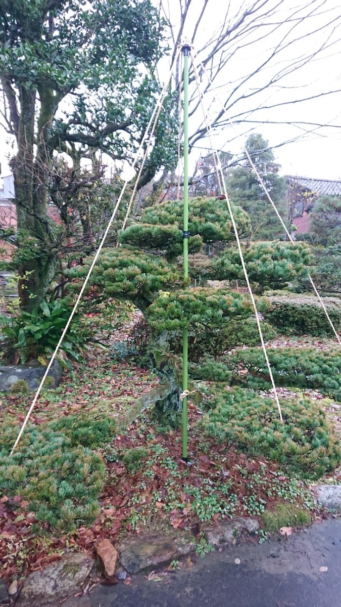 f:id:gobuichikun:20201212235658j:plain