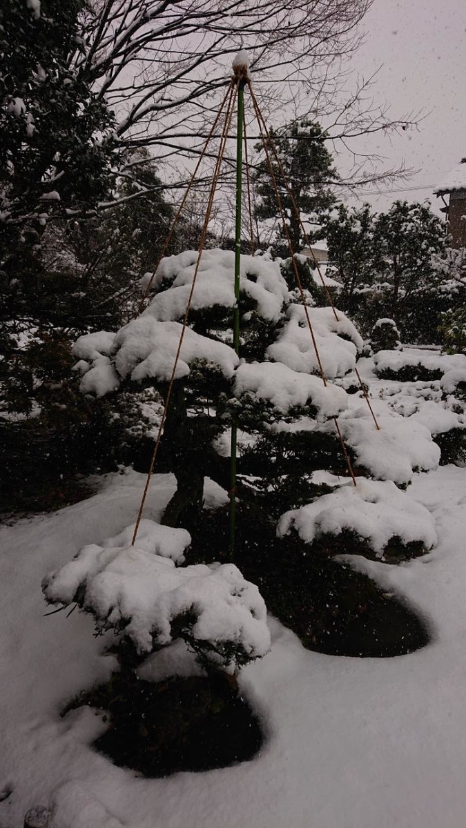 f:id:gobuichikun:20201217000522j:plain