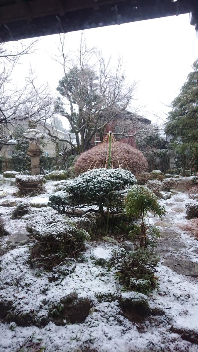 f:id:gobuichikun:20210102025136j:plain