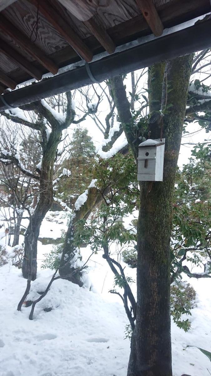 f:id:gobuichikun:20210102222902j:plain