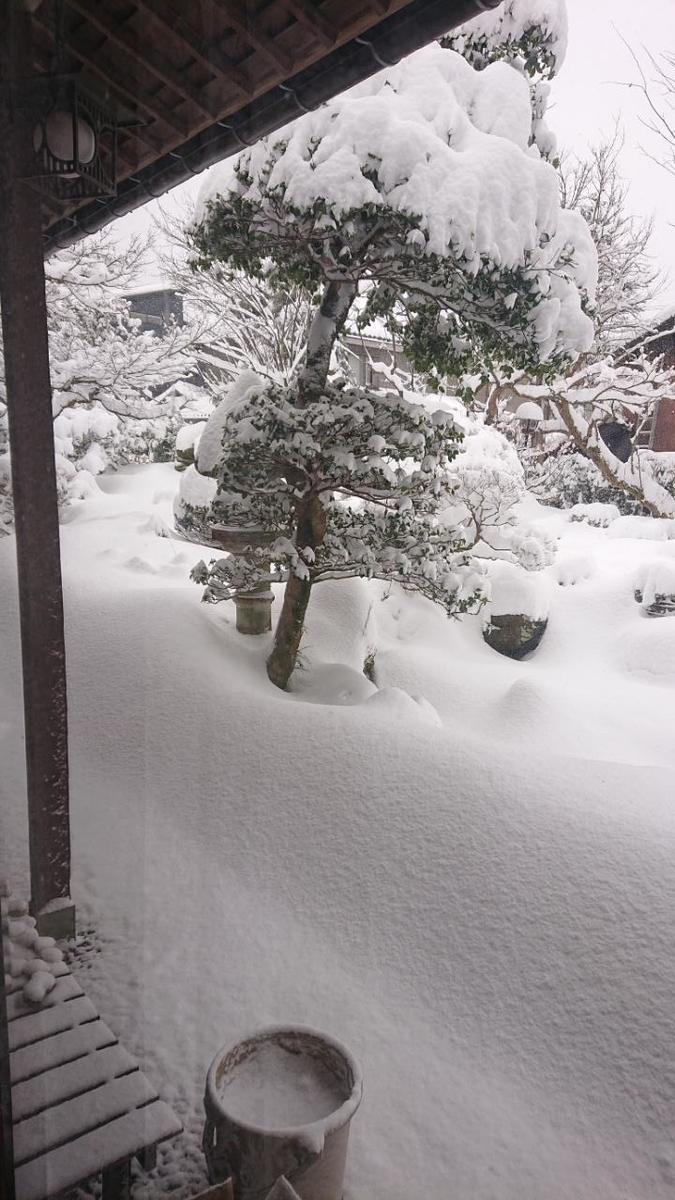 f:id:gobuichikun:20210109011502j:plain