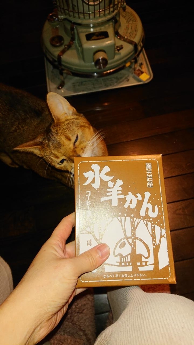 f:id:gobuichikun:20210111015236j:plain