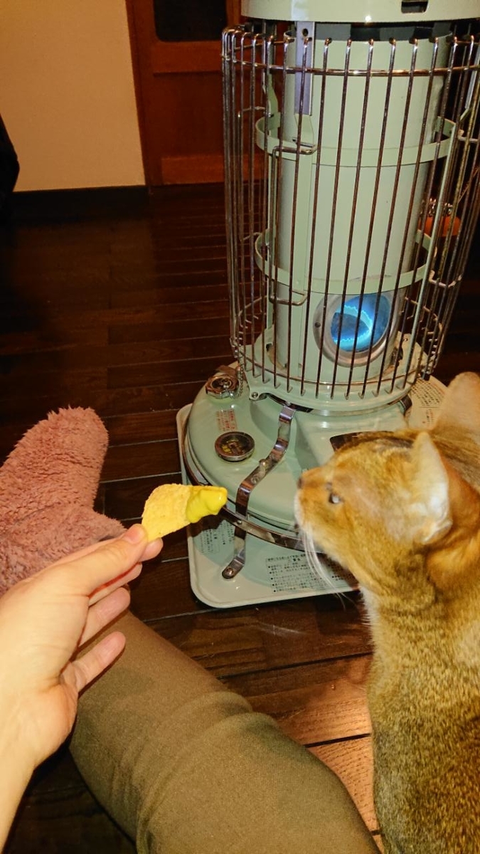 f:id:gobuichikun:20210113011938j:plain