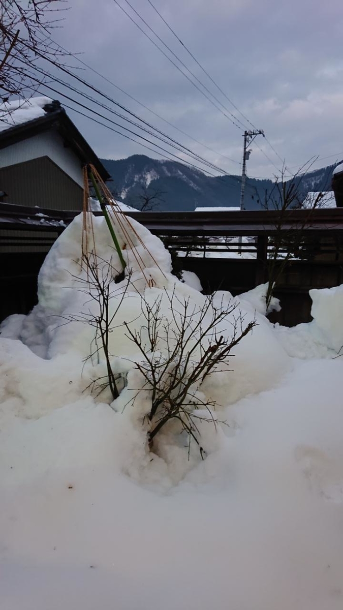 f:id:gobuichikun:20210113213802j:plain